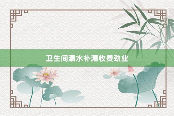 卫生间漏水补漏收费劲业