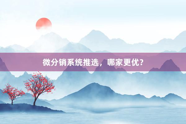 微分销系统推选，哪家更优？