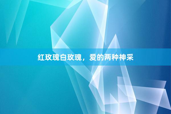 红玫瑰白玫瑰，爱的两种神采