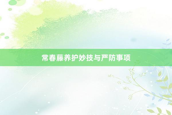 常春藤养护妙技与严防事项