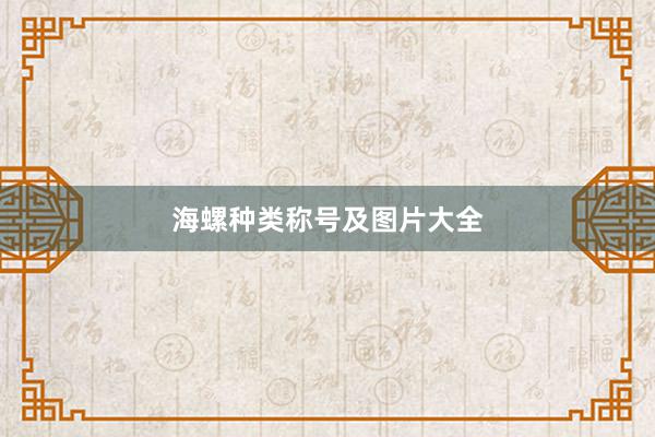海螺种类称号及图片大全