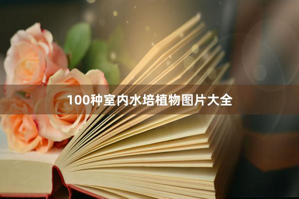 100种室内水培植物图片大全